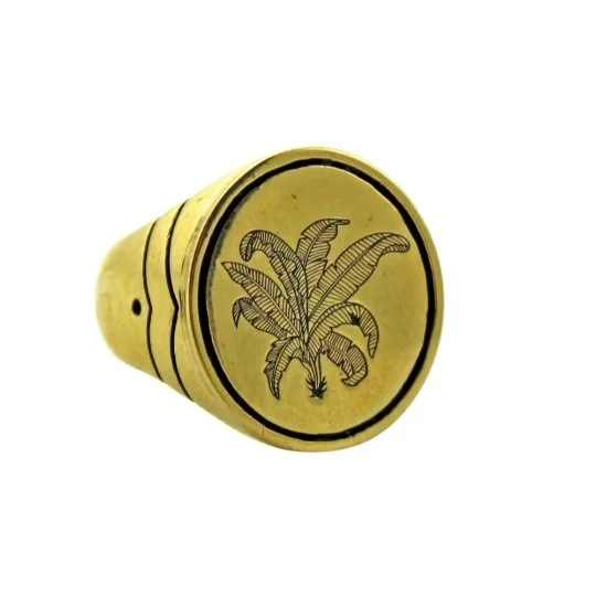 High gloss rings-Brass Palm Springs Signet Ring